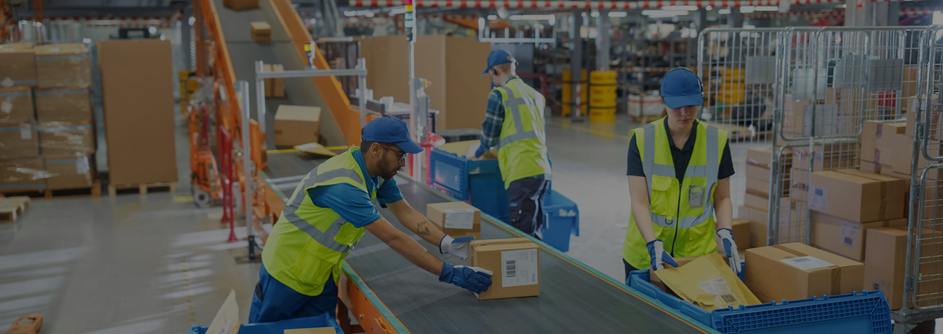 People packing and picking items in warehouse setting and using roll cages to move goods.